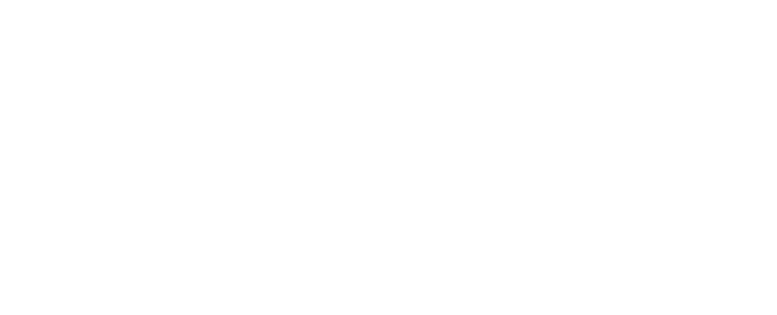 Anvida School
