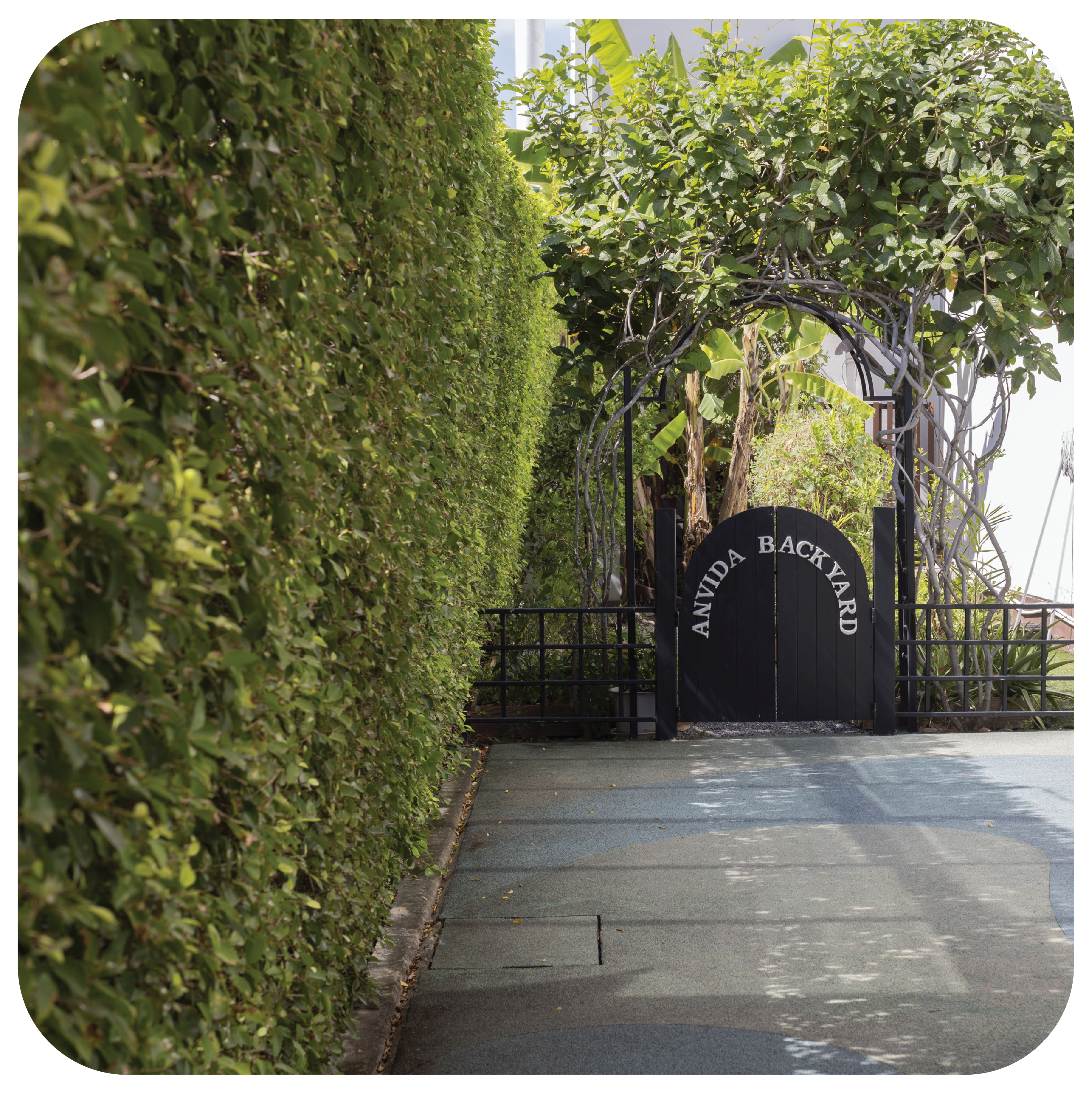 Anvida School campus — activity room